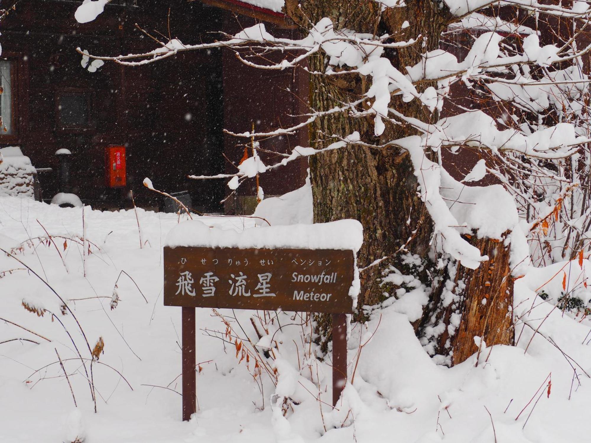 Snowfall Meteor 飛雪流星 Kaminoyama Exterior photo